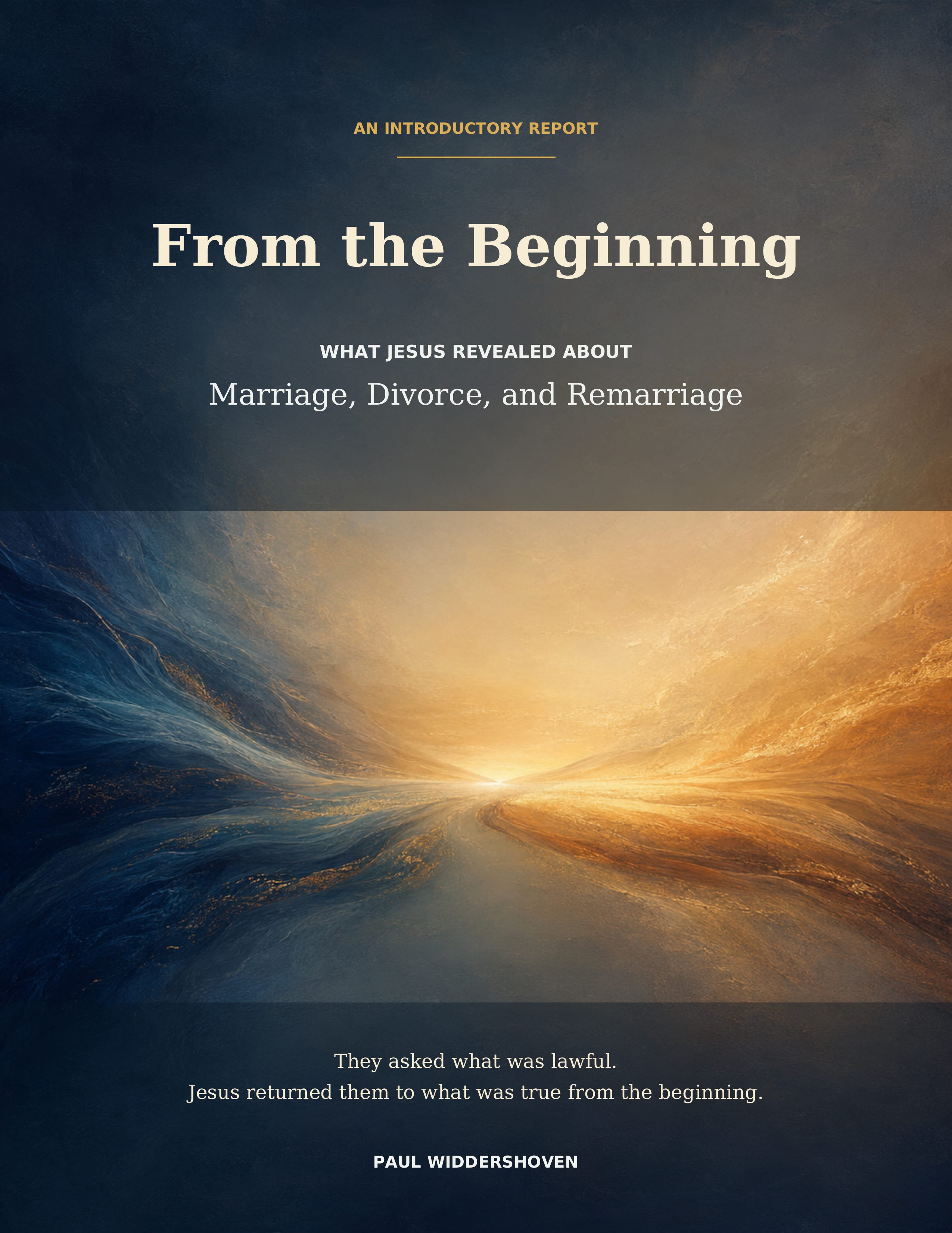 Cover of From the Beginning by Paul Widdershoven